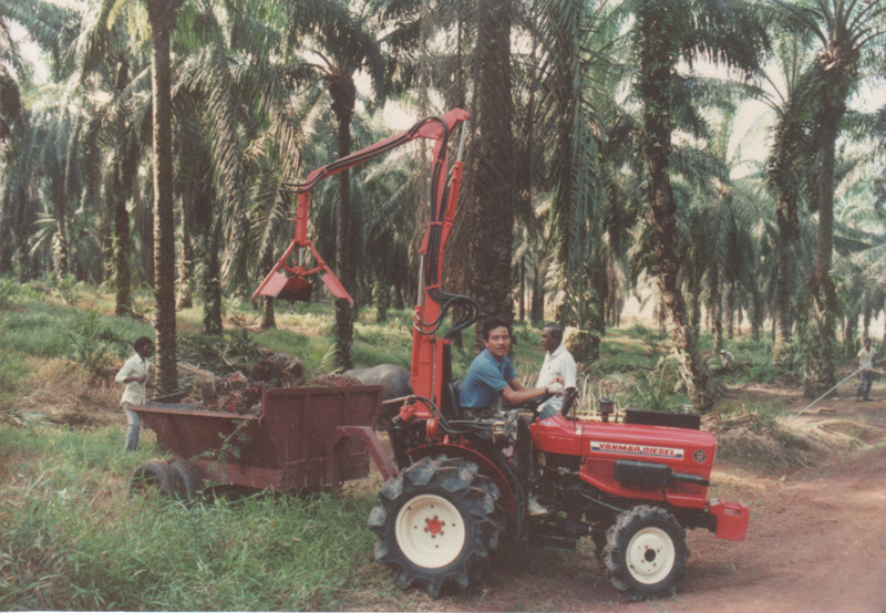 Harvesting oil palm kernels