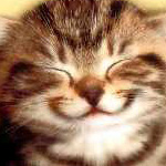 happy!kitten!jana
